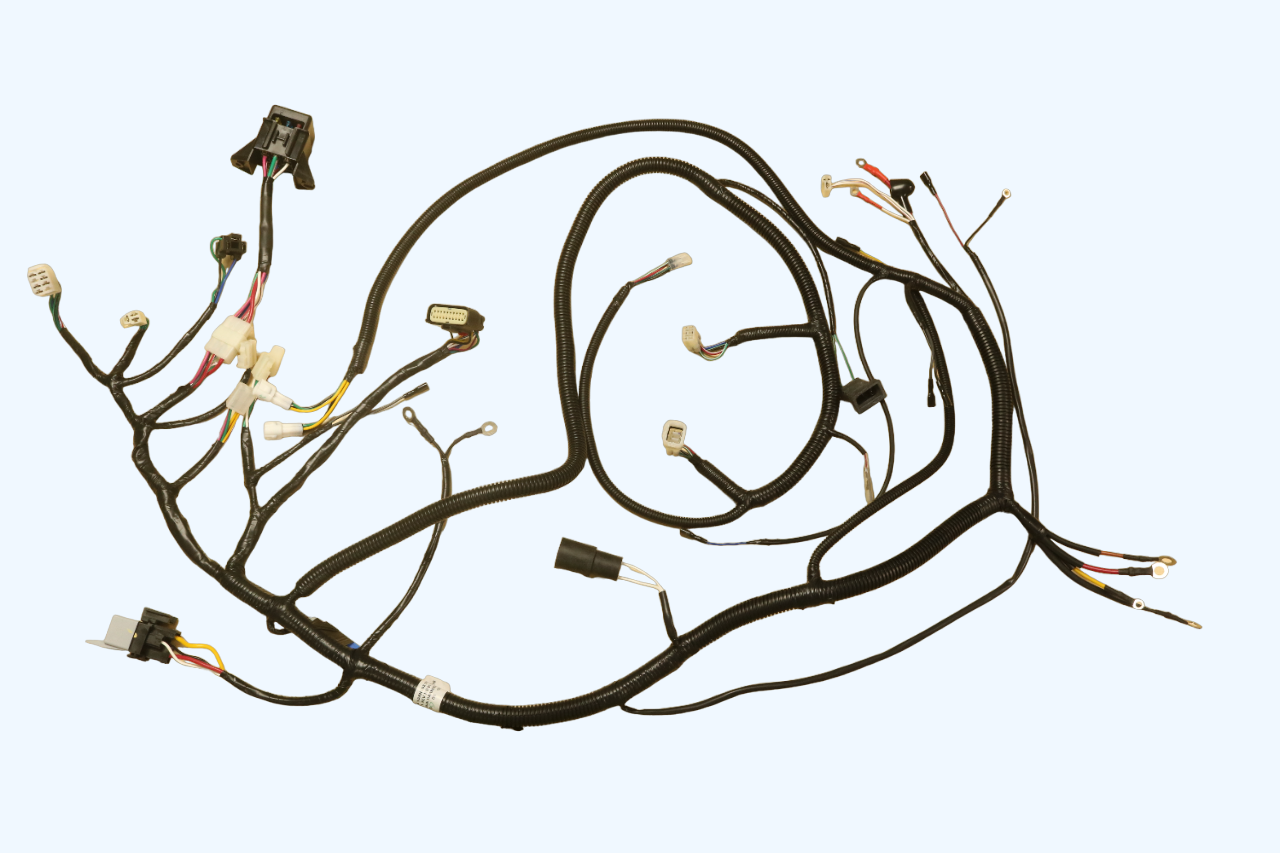 EUC (Engine Control Unit) Wiring Assy 1