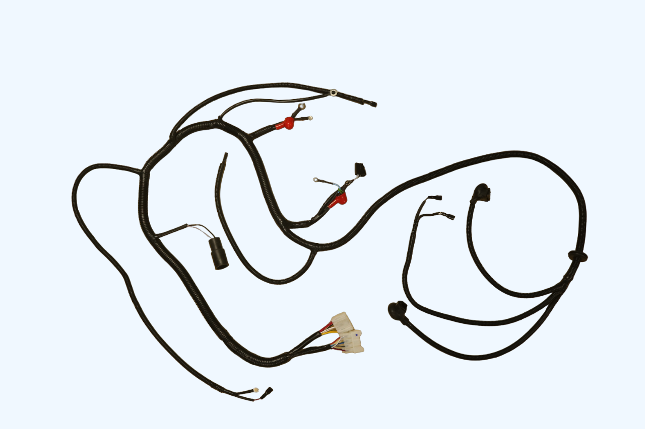 EUC (Engine Control Unit) Wiring Assy 2